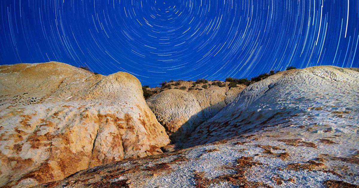 Коллекционные наборы Lego с персонажами Pokémon: Eevee, Pikachu и стартовые покемоны