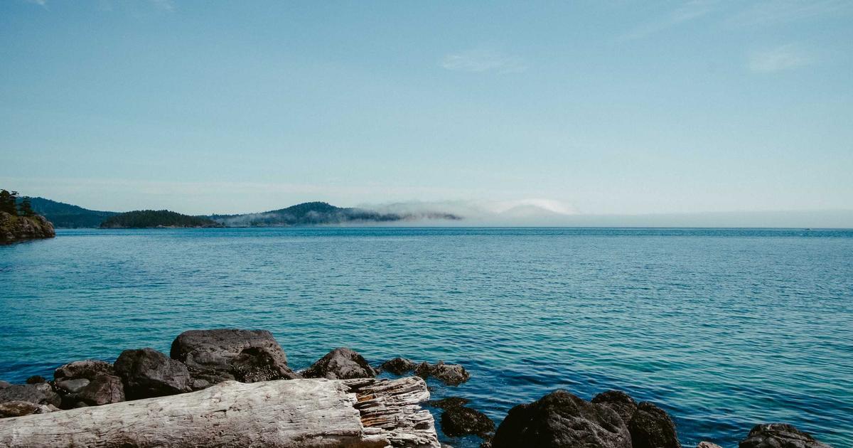 Тимоти Шаламе и Кайли Дженнер на красной дорожке кинопремии