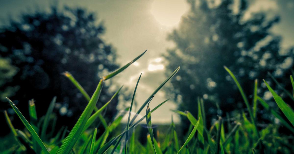 Новый искусственный интеллект чип Maia 200 от Microsoft для облачных вычислений