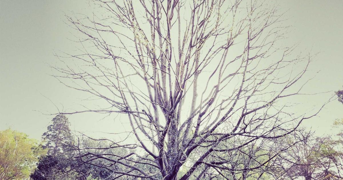 Современный офис или коворкинг, где предприниматели обсуждают проект. Символизирует стартап и инвестиции в сфере wellness.