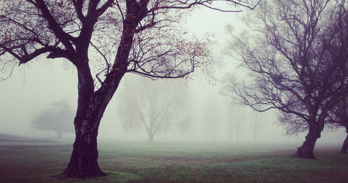 Печальная пара в сложной жизненной ситуации