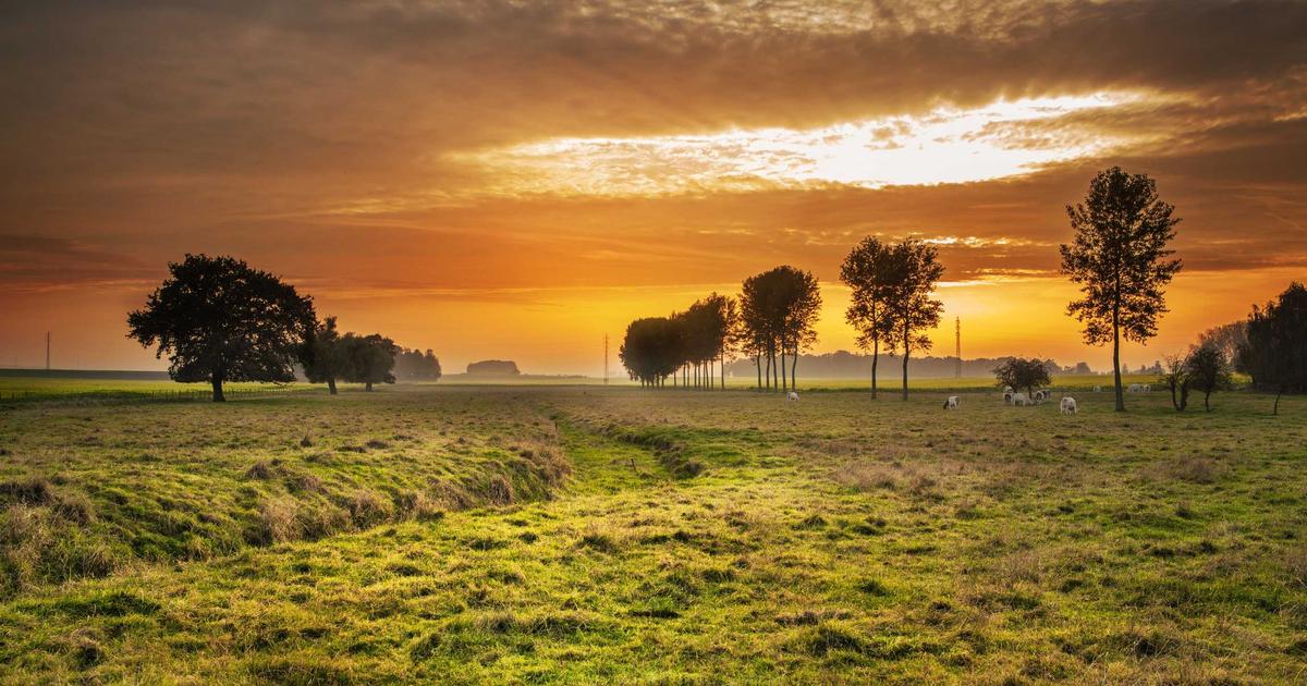 Чанпэн Чжао, основатель Binance, дает интервью на Всемирном экономическом форуме в Давосе