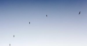 Бен Аффлек и Брукс Нейдер: правда об отношениях и слухах