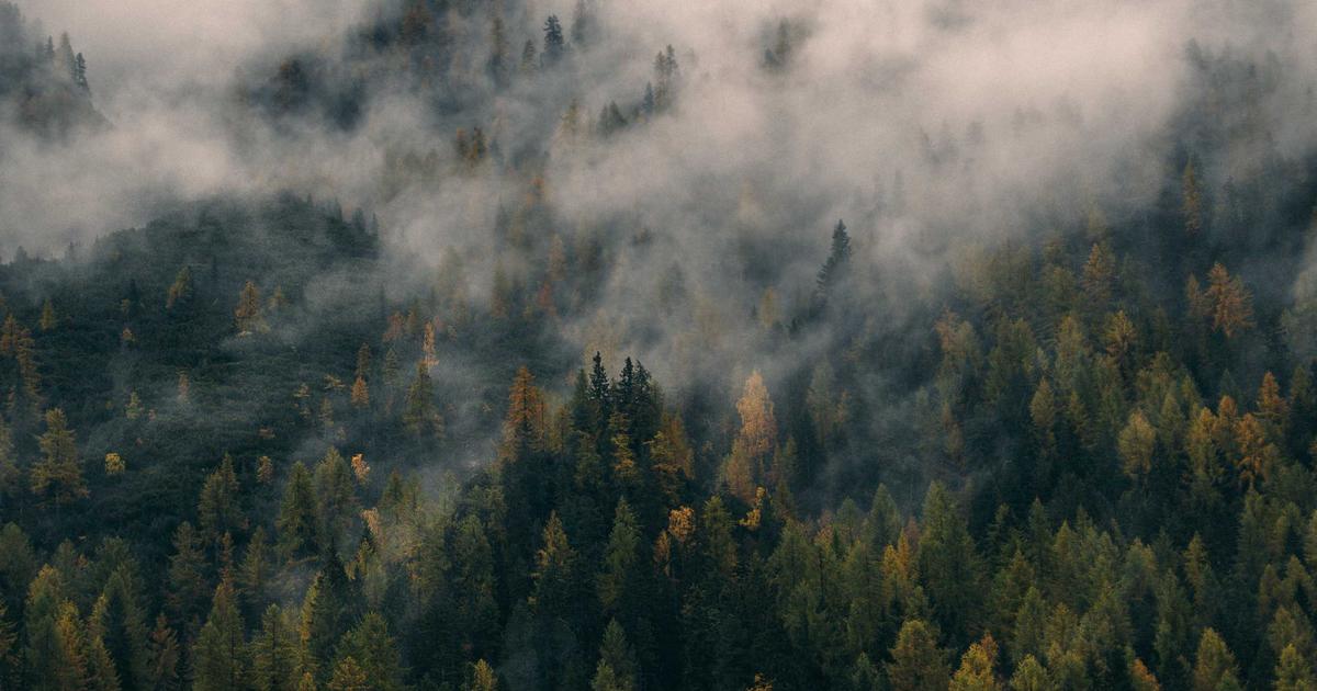 Кадр из видео, показывающий момент противостояния между мужчиной и сотрудниками правоохранительных органов