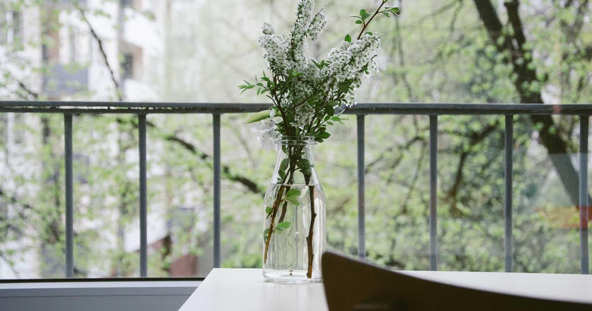 Алекс Хоннолд во время восхождения на небоскреб Taipei 101 без страховки