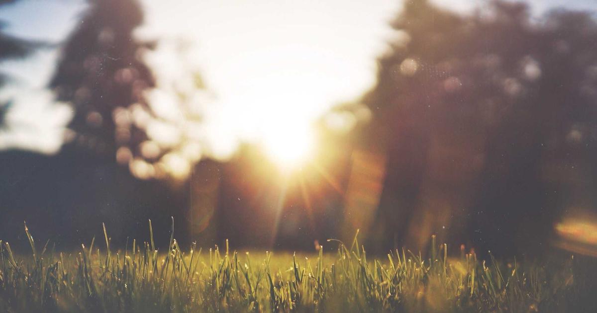 График роста акций промышленной компании на биржевом терминале