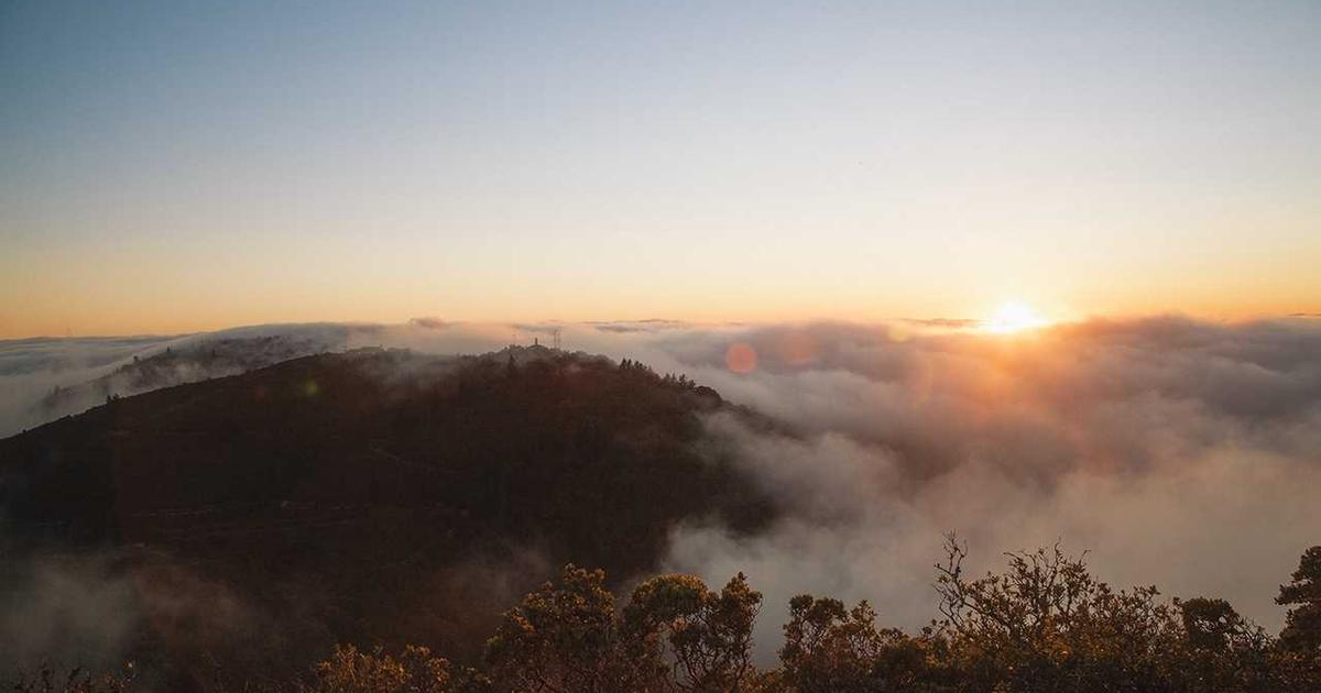 Руководитель обсуждает стратегию с командой в современном офисе
