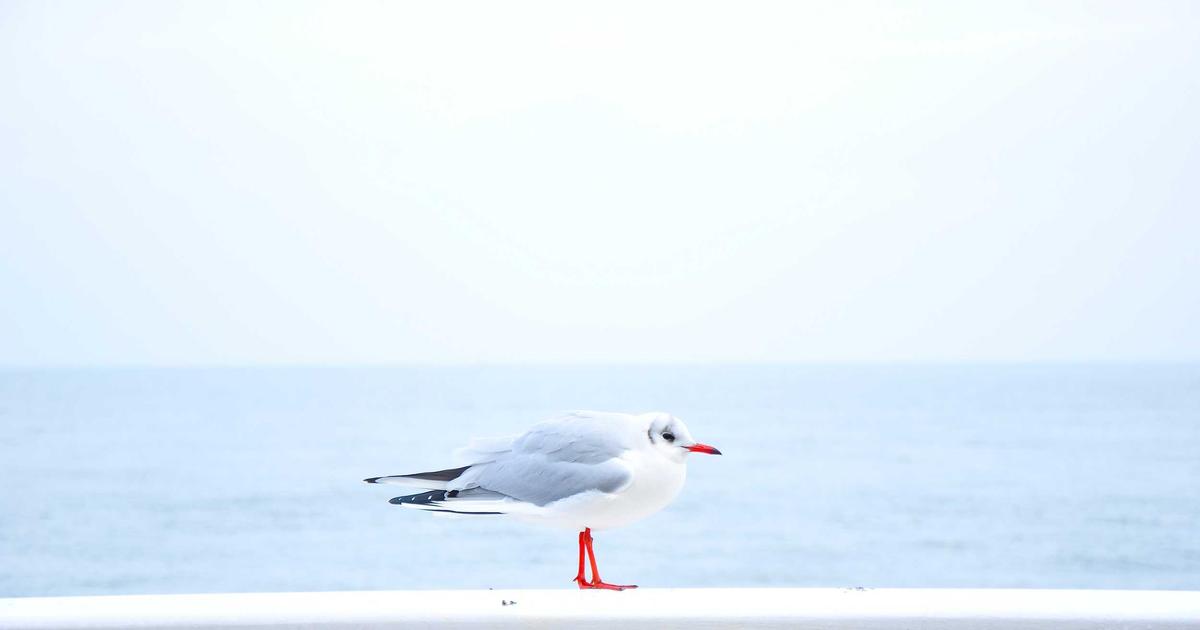 Изображение, связанное с новостью о кончине ютубера