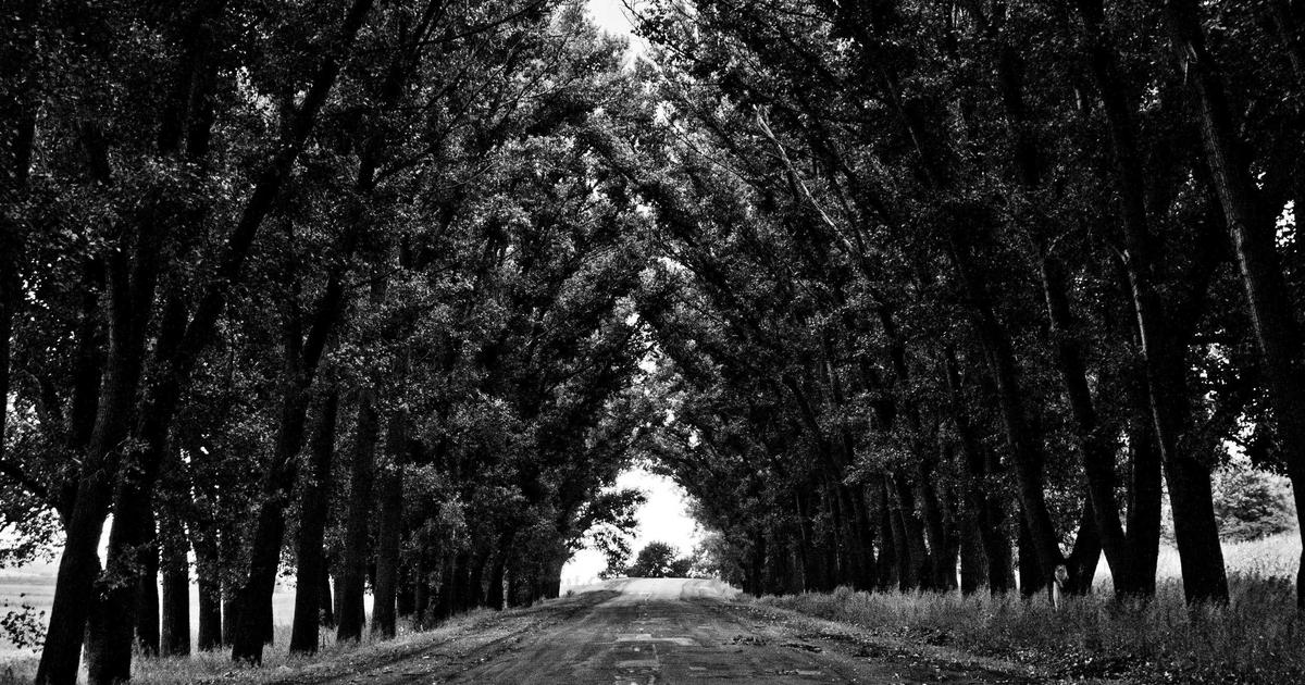 Квотербек НФЛ с семьей на трибуне стадиона