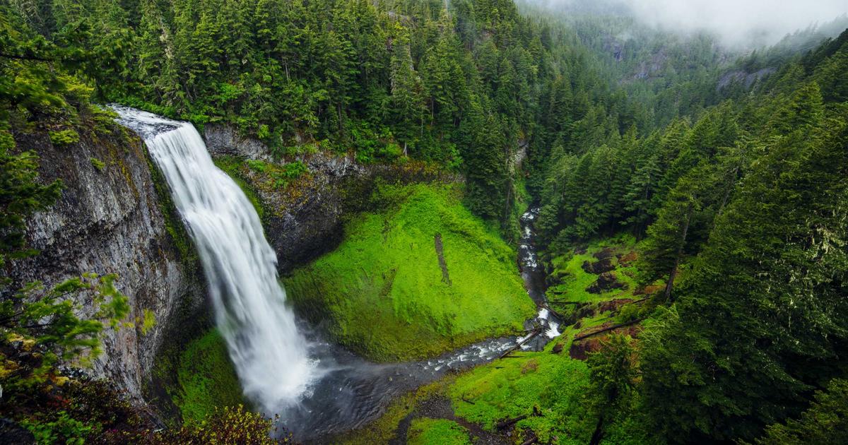 Заброшенный особняк сэра Брюса Форсайта в Суррее, где произошли незаконные проникновения
