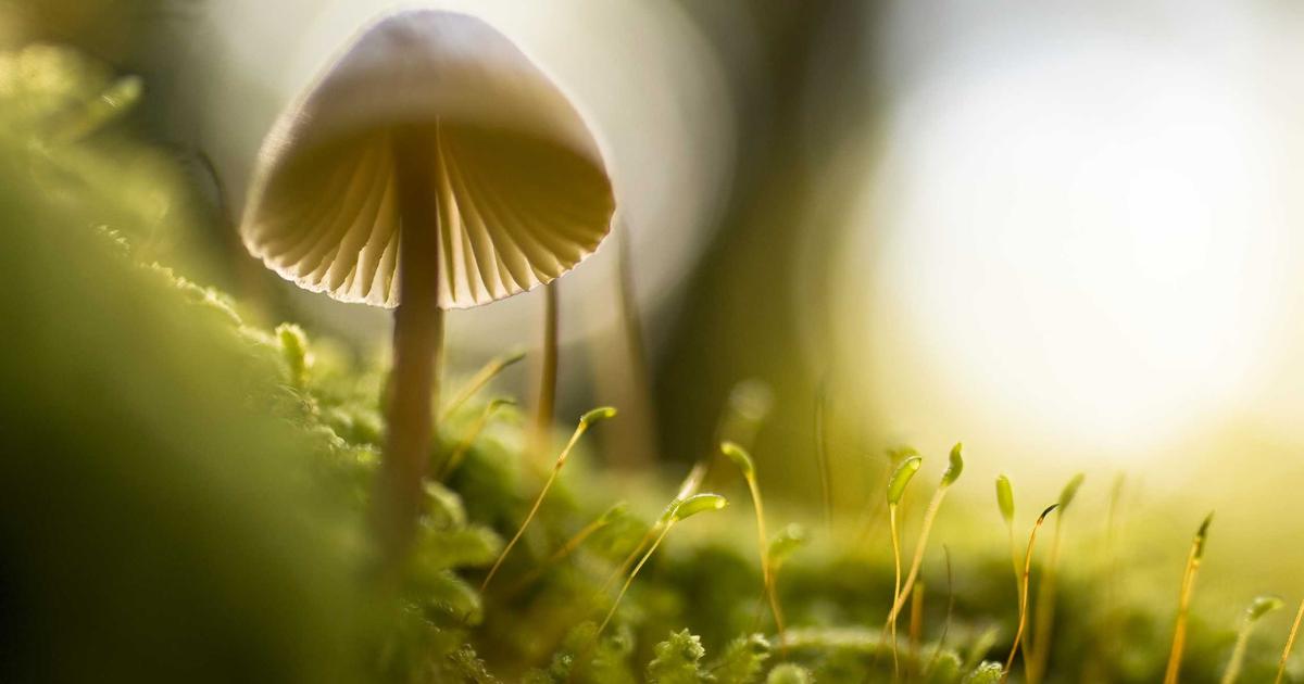 Современное оборудование для производства полупроводниковых чипов в чистом помещении