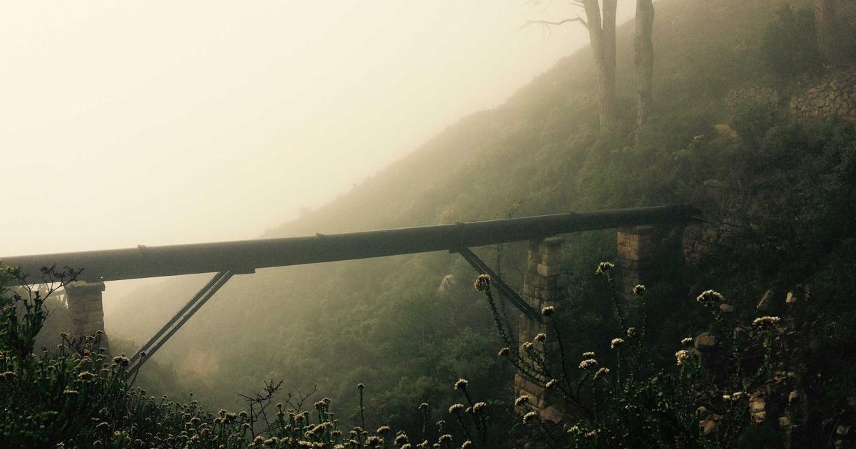 Концепт автономного электромобиля и дрона для доставки на фоне городского пейзажа, символизирующий будущее транспорта.