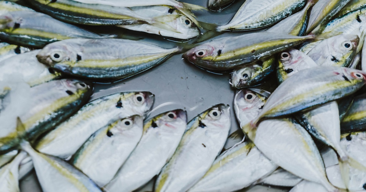 Капсулы омега-3 и рыбий жир на фоне листьев салата и рыбы, символизирующие здоровое питание и добавки