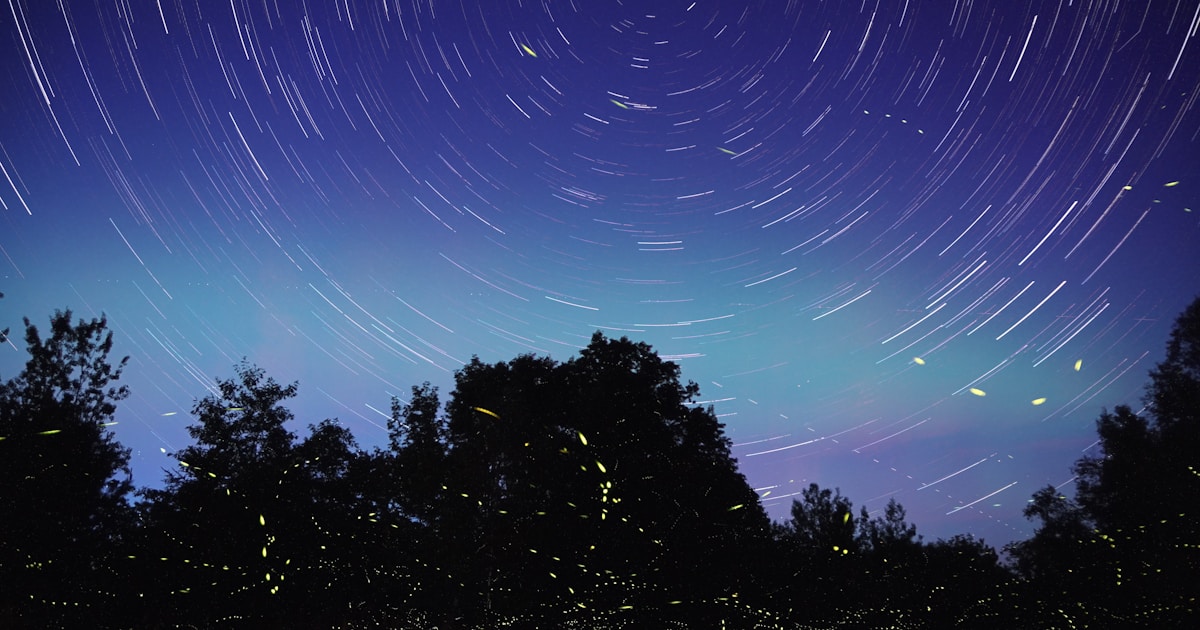 Символы знаков зодиака на фоне звёздного неба