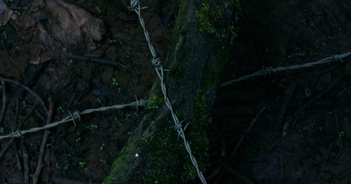 Портрет актера Джеймса Ван Дер Бика