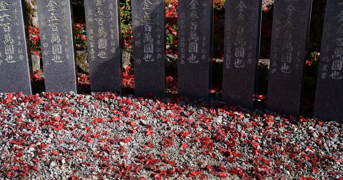 Кэти Холмс и Джеймс Ван Дер Бик на съемках сериала «Бухта Доусона»