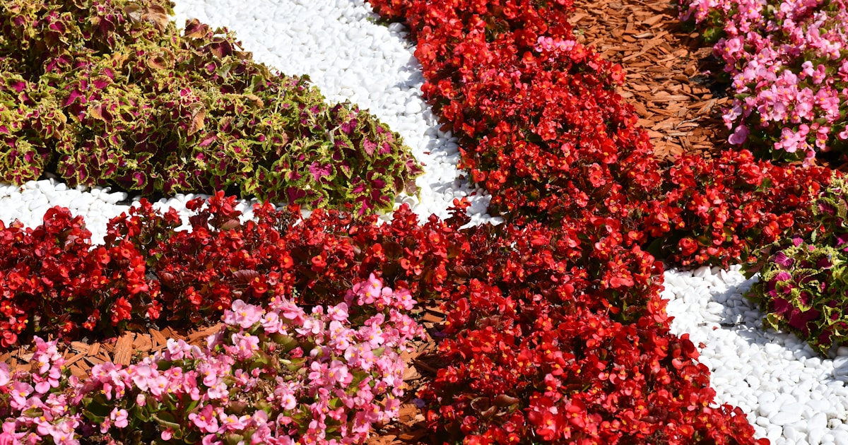 Загадочное изображение знаменитости на красной дорожке Грэмми