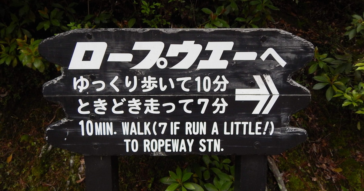 Предупреждающий знак о динго на пляже острова К'гари