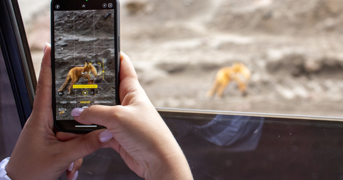 Смартфон с открытым приложением iScanner сканирует документ на столе