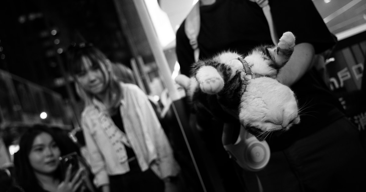 Шарли XCX и Джордж Дэниел на красной дорожке вечеринки Saint Laurent после Грэмми