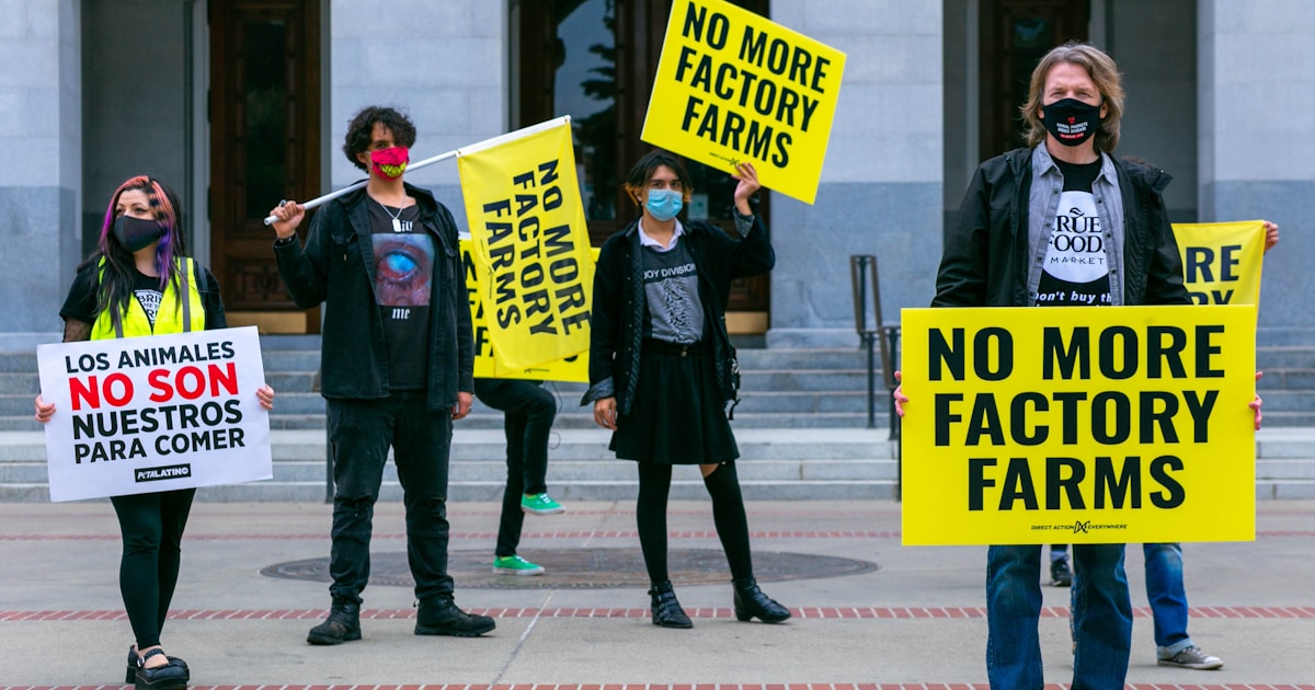 Демонстрация или публичное мероприятие в Калифорнии, связанное с социальными программами