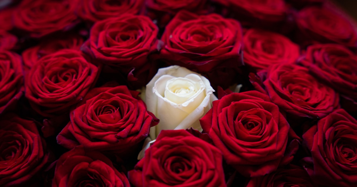 Красивый свежий букет цветов в подарочной упаковке, готовый к доставке