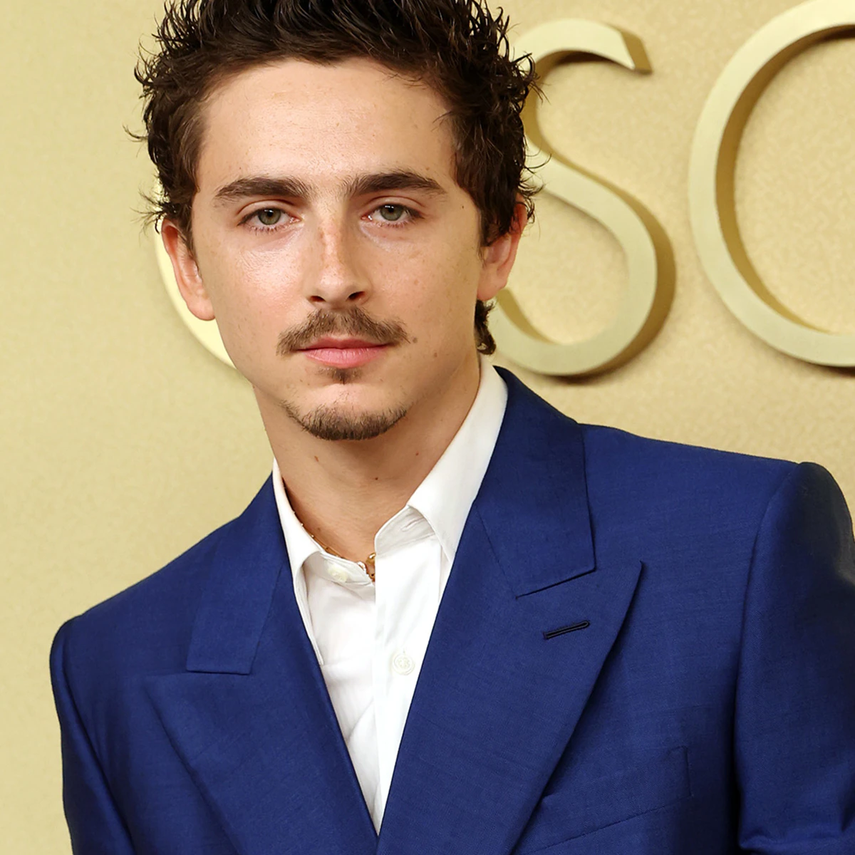 Актер Тимоти Шаламе во время интервью